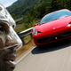 Illustration for article titled Did Kobe Bryant Over-Pay For His $329,000 Ferrari?